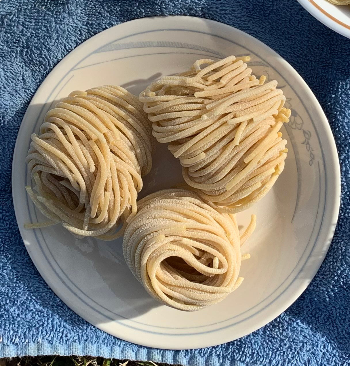 pasta, spaghetti (1 lb)